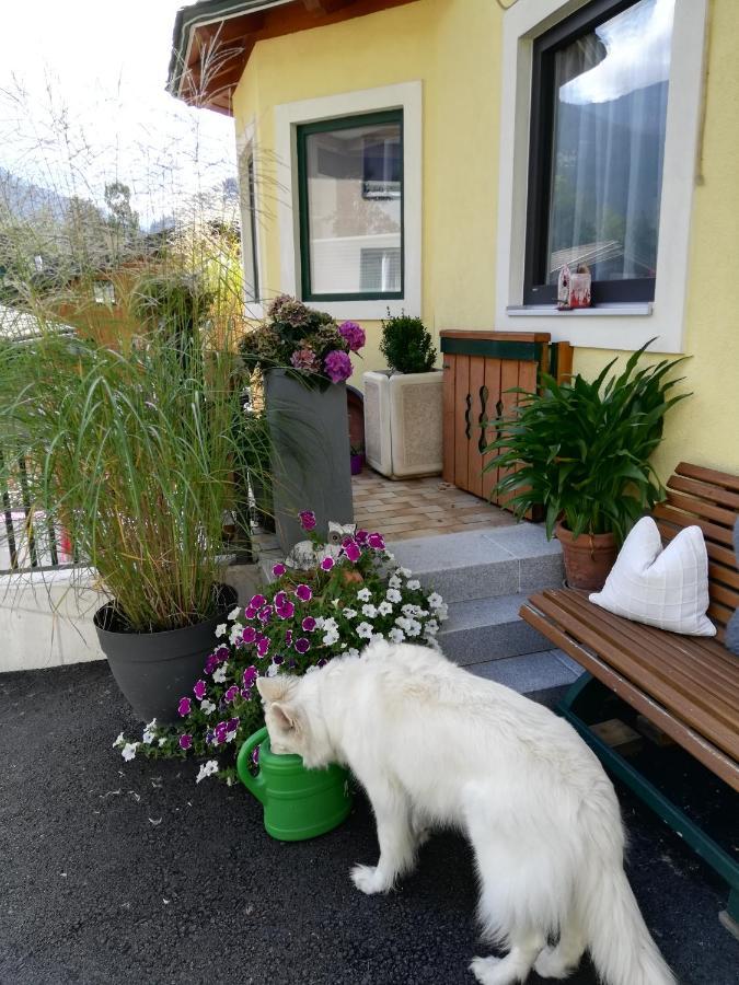 Hotel Haus Ortsblick Wagrain Zewnętrze zdjęcie